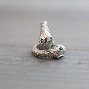 Snake Style Huggie Hoop Earrings Stainless Steel